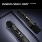 LENYES S856 Altavoz Bluetooth Portátil IPX6 TWS 10h + 2 Micrófonos Negro