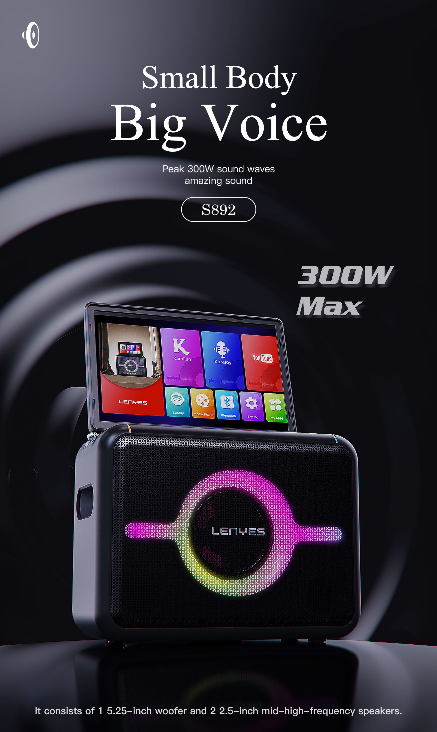 LENYES S892 Altavoz Bluetooth Profesional IPX6 TWS 15h + 2 Micrófonos Negro